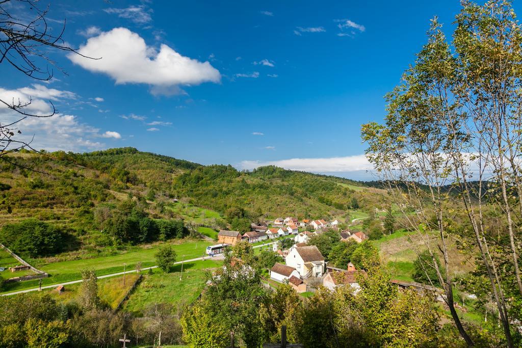 Гостевой дом Country House "Stricev Grunt" Stara Kapela Номер фото